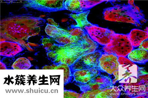 嗜酸性粒細胞為0