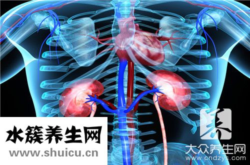 脾腎兩虛吃什么中成藥