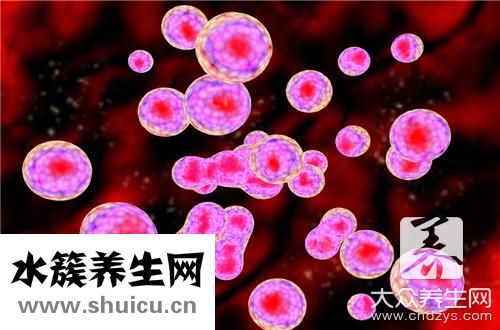 白細(xì)胞高到多少有危險