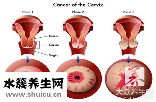 分化是什么意思