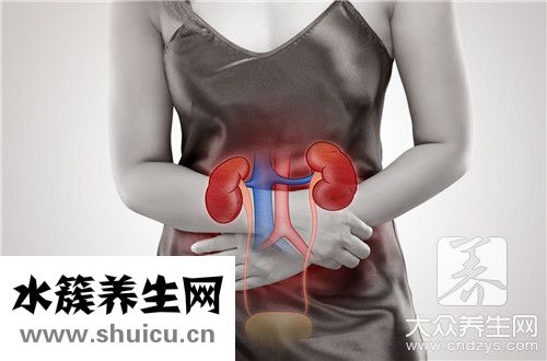 少尿是指24小時尿量少于