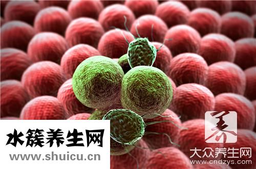 支原體培養(yǎng)