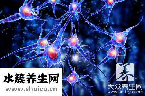 副交感神經(jīng)興奮表現(xiàn)