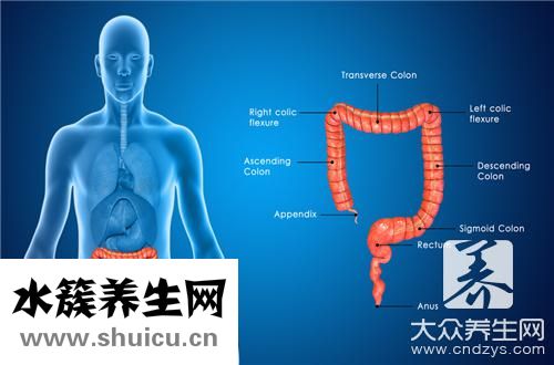 直腸粘膜內脫垂