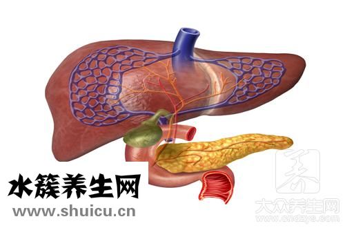 肝掌初期癥狀同