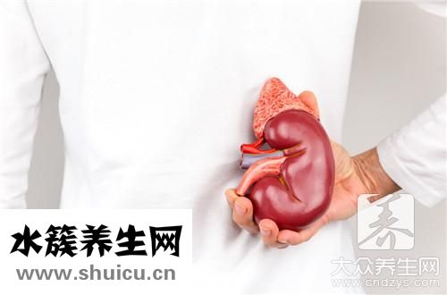 金錢草治結(jié)石