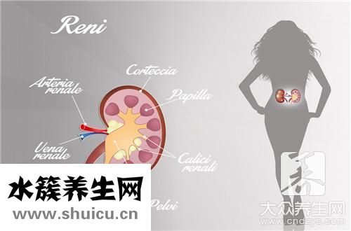 金錢草治結(jié)石