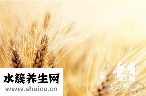 大麥若葉功效與作用