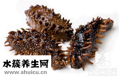 泡發(fā)好海參保存