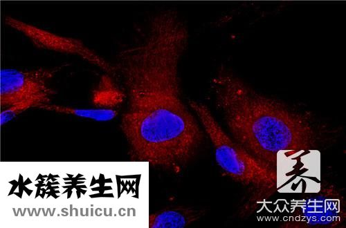 視神經脊髓炎癥狀