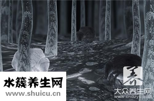 頭皮有螨蟲去除