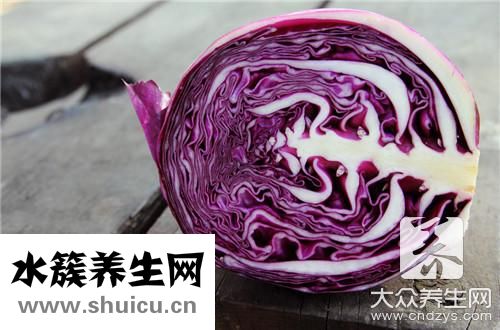 卷心菜和包菜區別