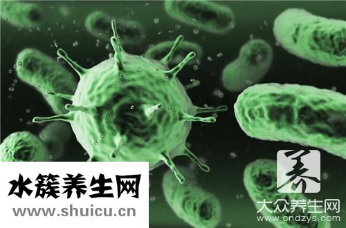 狂犬病毒傳播途徑