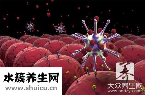 狂犬病毒傳播途徑