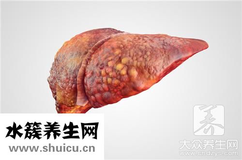 什么泡水可以清肝利膽