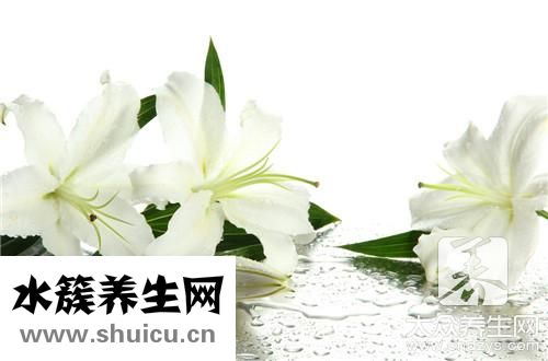 臥室養什么花好