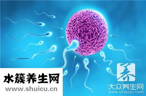 精子液化時間長