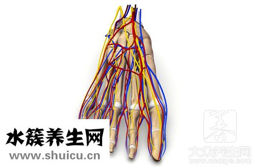 判斷手指是否骨折