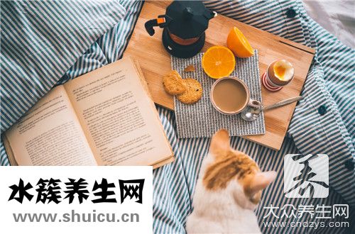 家里有蟲子消除