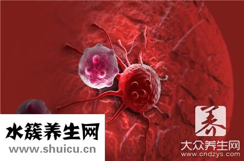 白細胞吞噬細菌