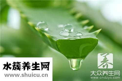 蘆薈汁功效與作用