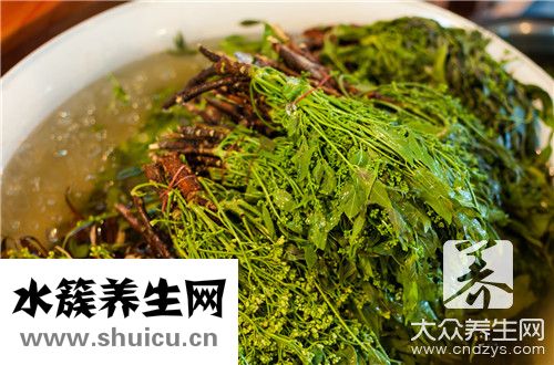 蜂蜜與什么相克