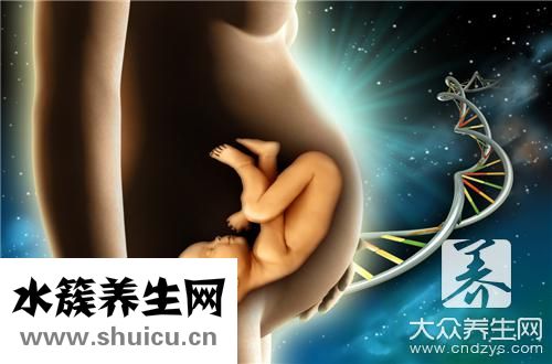 幾周有胎心胎芽