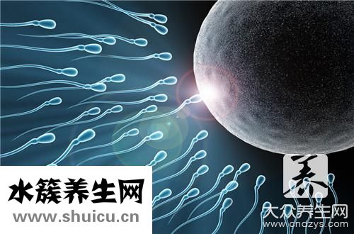 精子可以存活多久