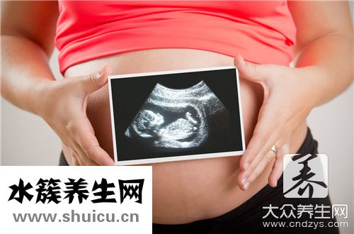 經食道超聲心動圖