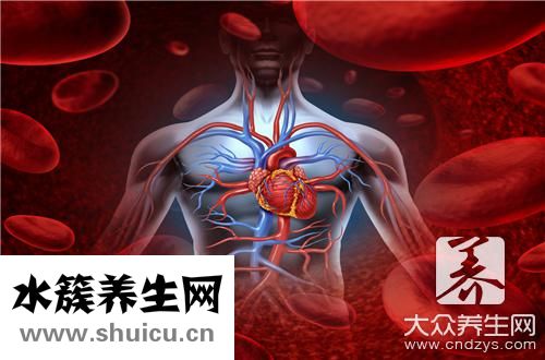 器官排毒時間表