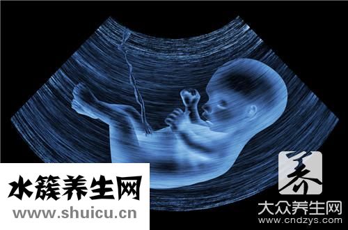 經食道超聲心動圖