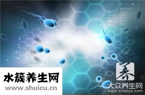 檢查精子掛哪個科