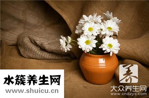 胎菊和貢菊區(qū)別