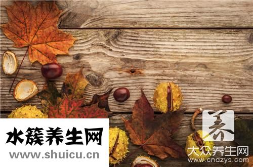 栗子不能和什么一起吃