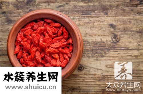 枸杞子泡酒功效