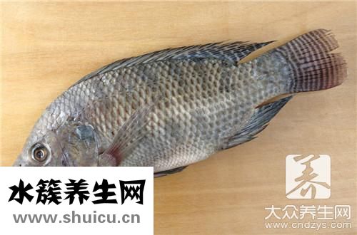 正宗魚頭豆腐湯法