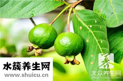 石榴汁功效與作用