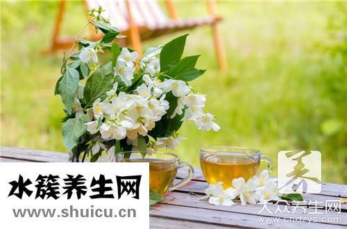 孕婦可以喝茉莉花茶嗎