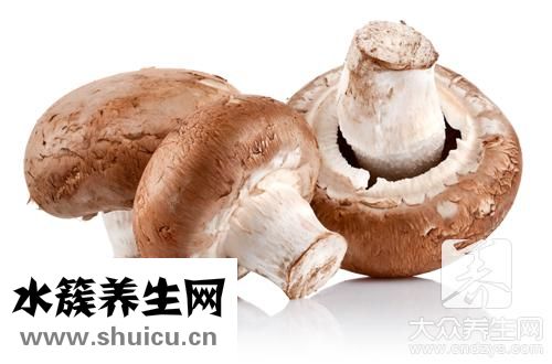 豬肉白菜豆腐燉粉條
