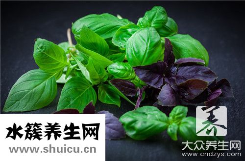 孕婦可以梅子嗎