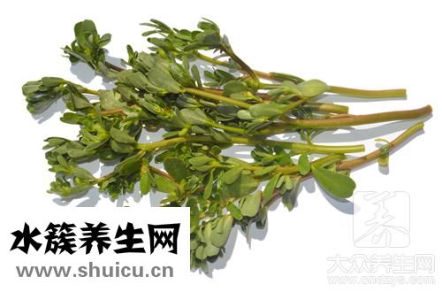 蔬菜草酸含量排名表