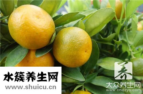 橘和桔有什么區別