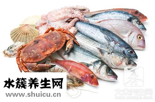 海螺正確法圖解