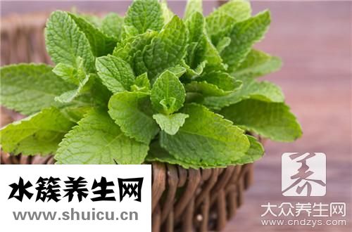 飲用薄荷水危害