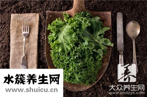 什么菜好消化又養胃