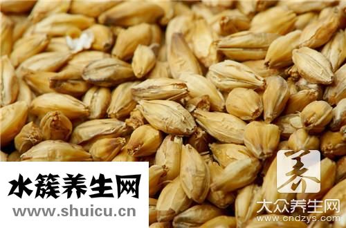 麥芽精功效與作用