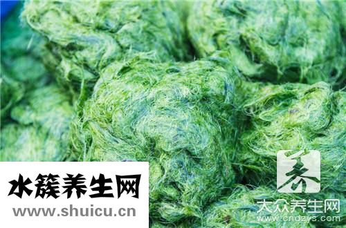 女性螺旋藻壞處