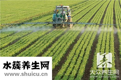 魚肚子里黑膜是什么