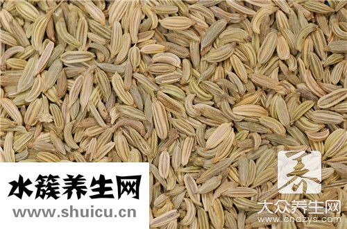 小茴香和孜然區(qū)別