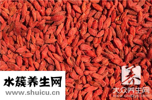 枸杞能補(bǔ)腎嗎